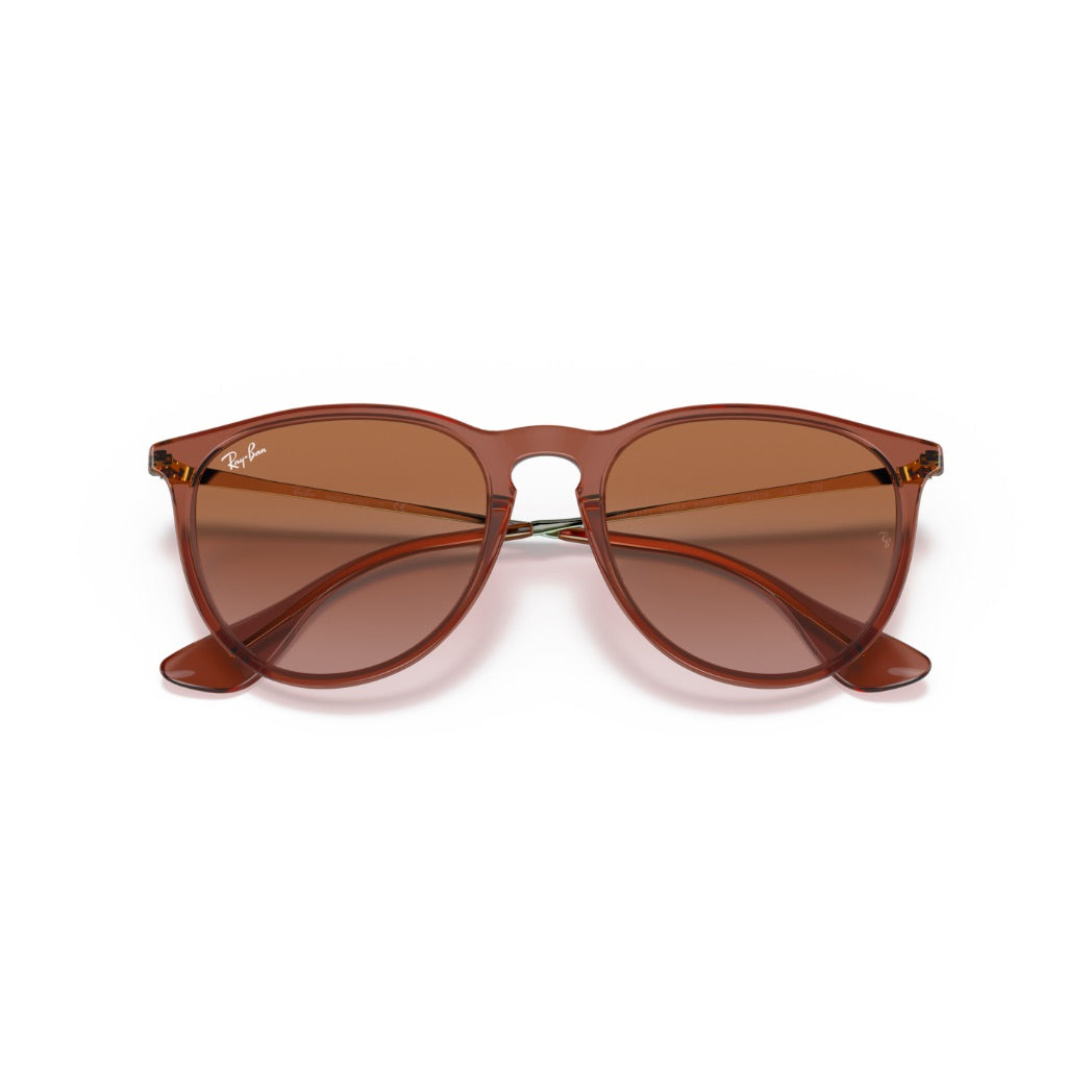 RAYBAN - ERIKA | Transparent Light Brown w/ Brown
