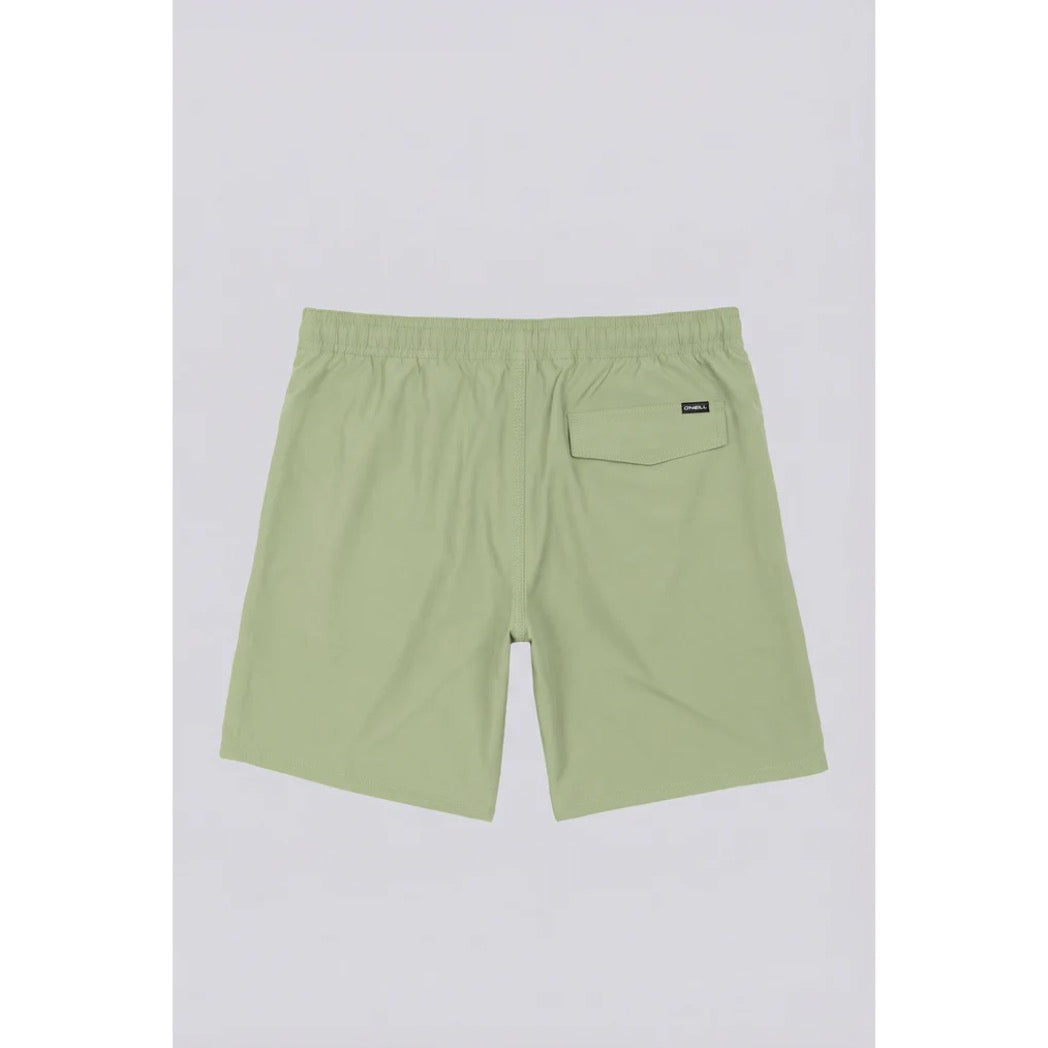 ONEILL - SOLID VOLLEY 2.0 SWIM SHORT | Oil Green