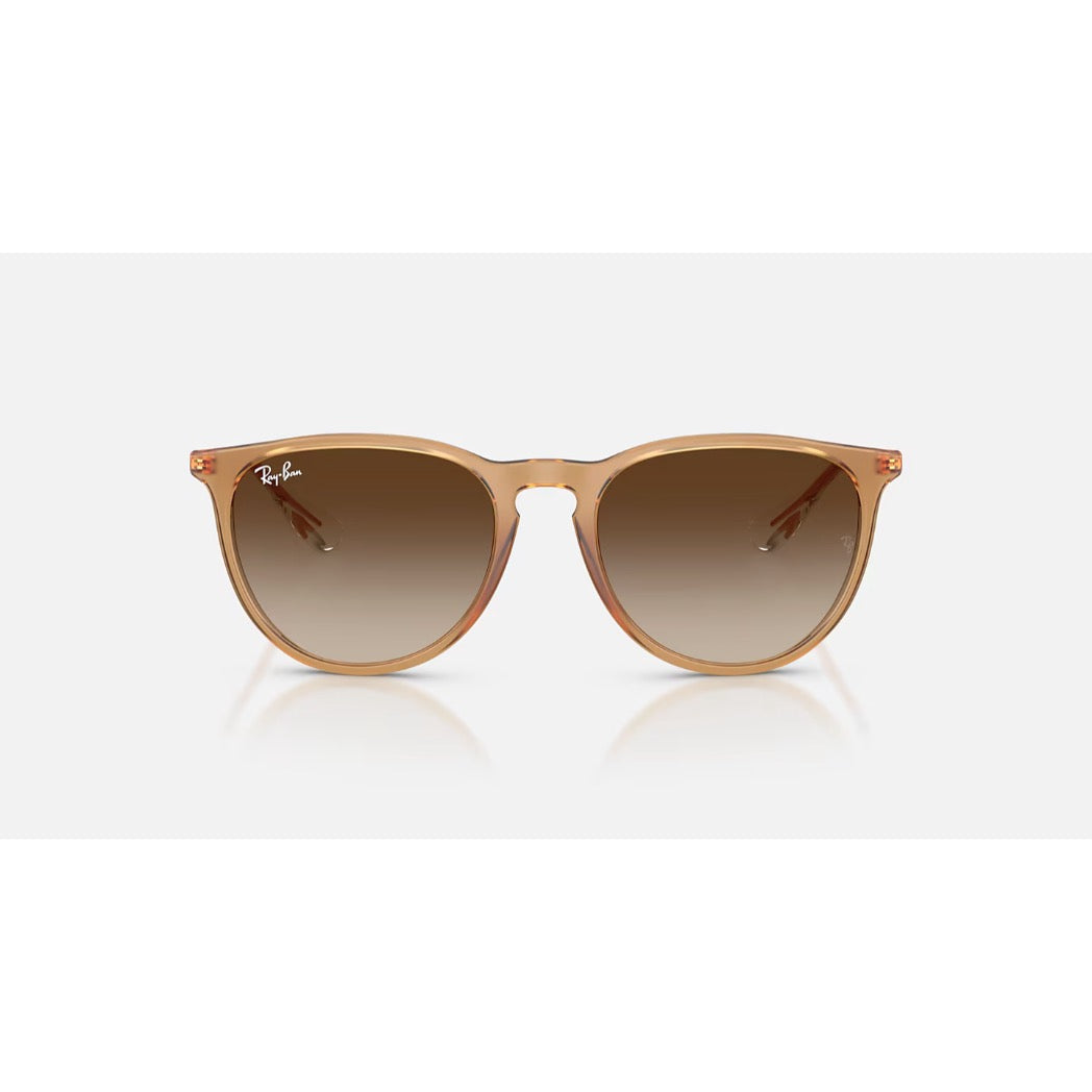 RAYBAN - ERIKA | Polished Rubber Beige w/ Gradient Brown