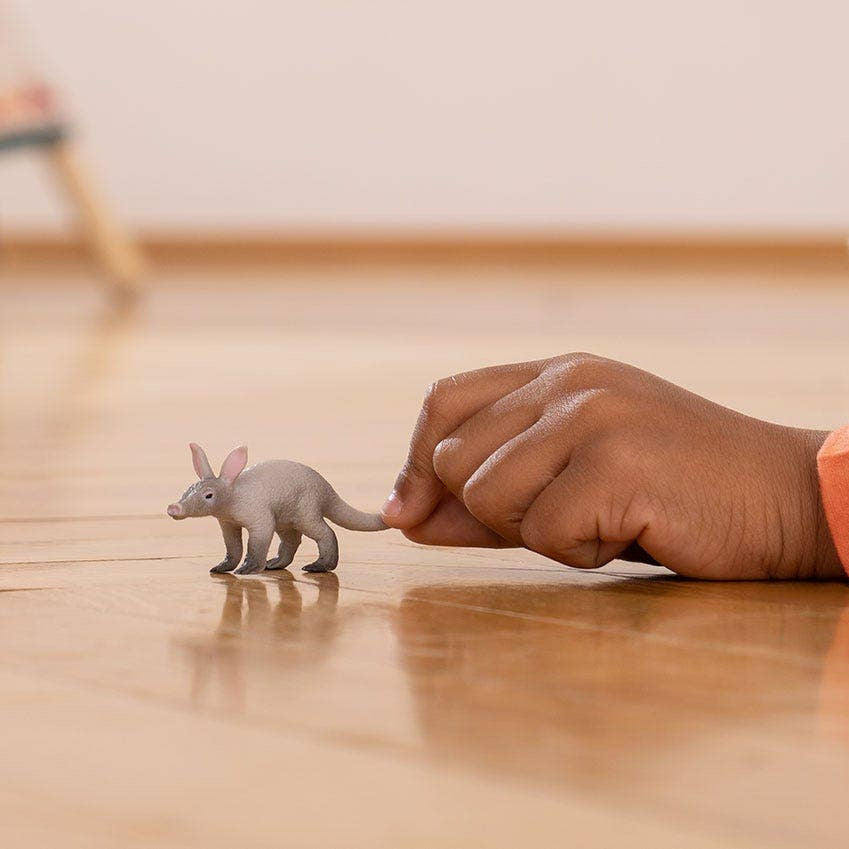Aardvark