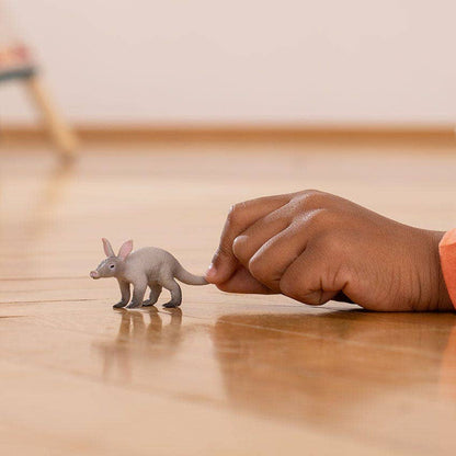 Aardvark