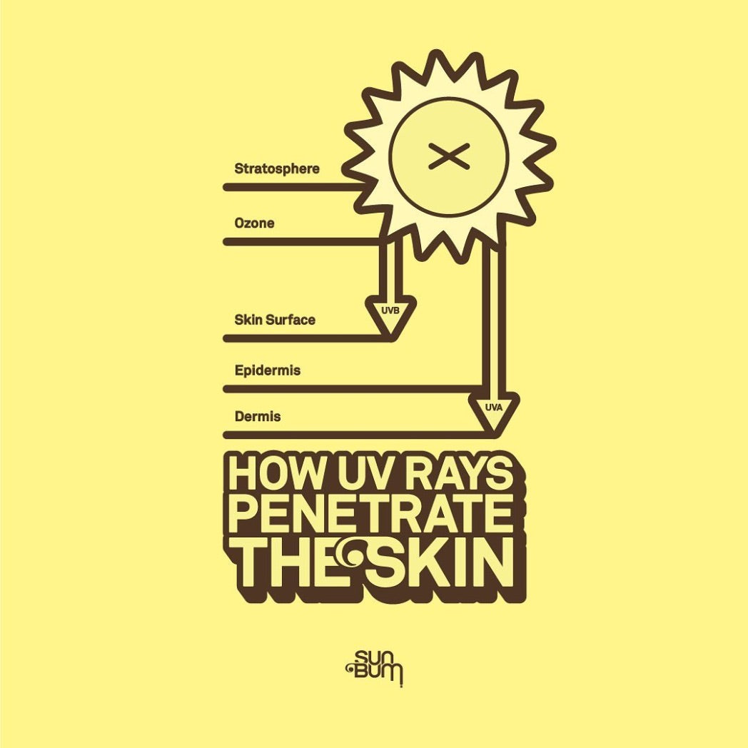 SUN BUM - Sunscreen | Lotion SPF 30