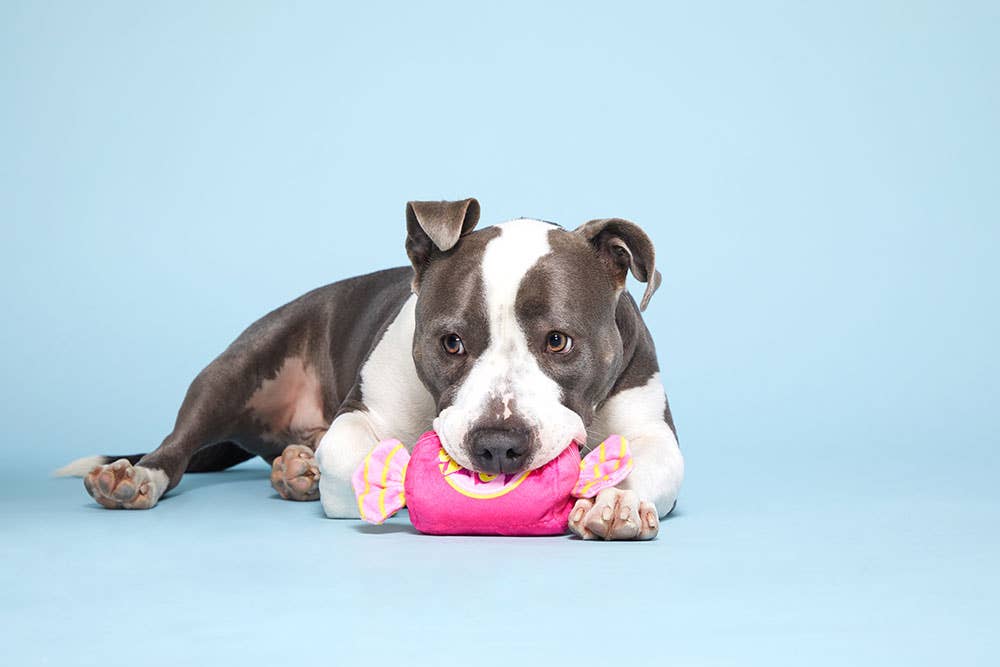 BARK Bubble Gum