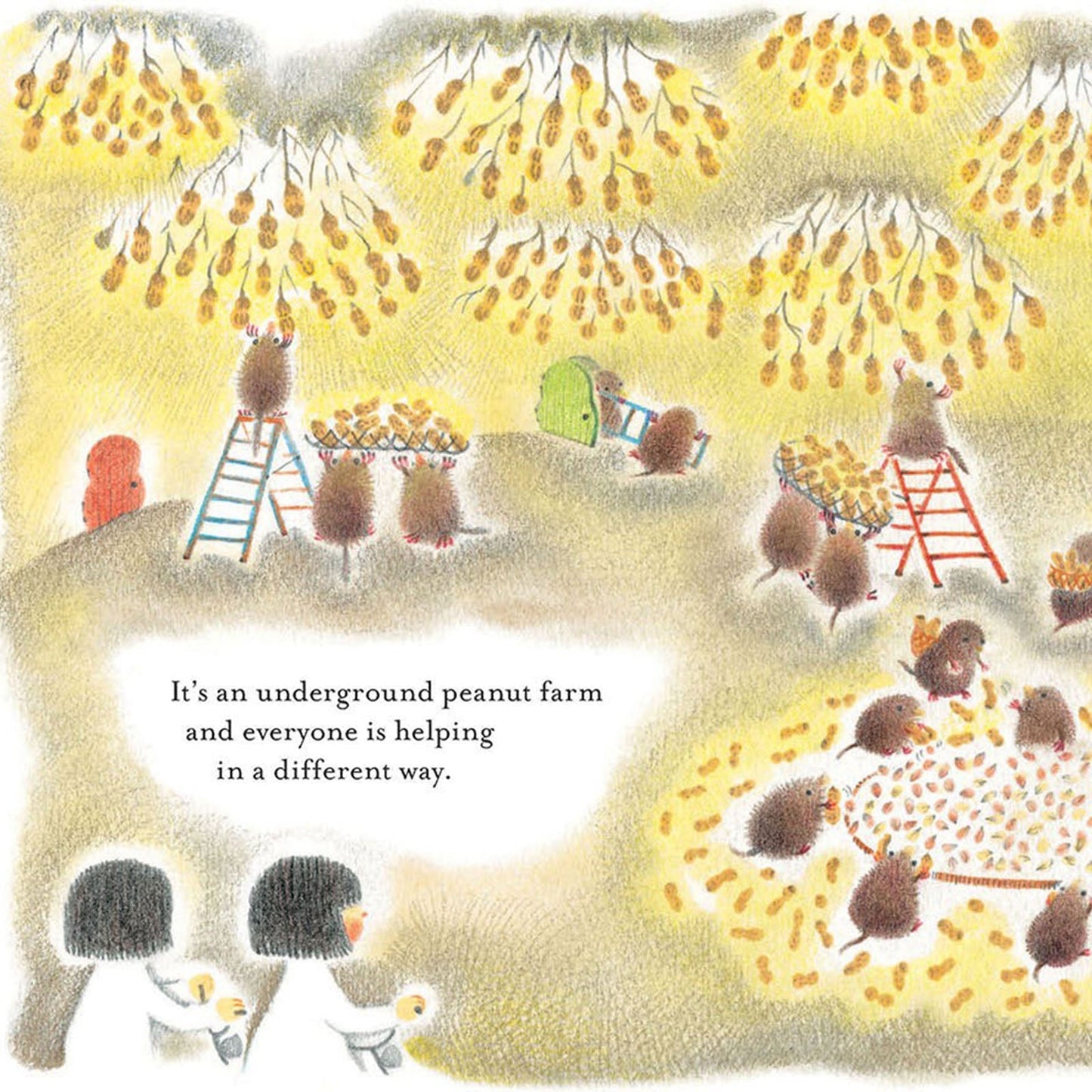 Chirri & Chirra Underground Book