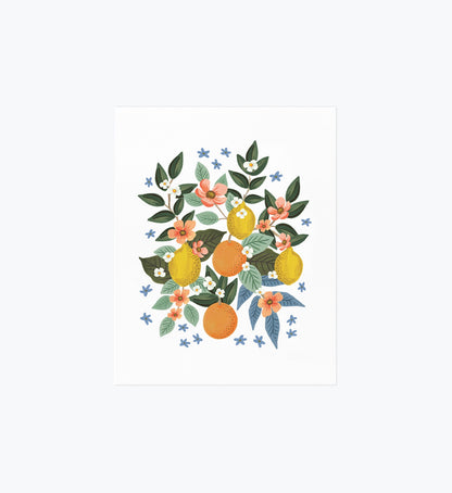 Citrus Grove Cluster Art Print