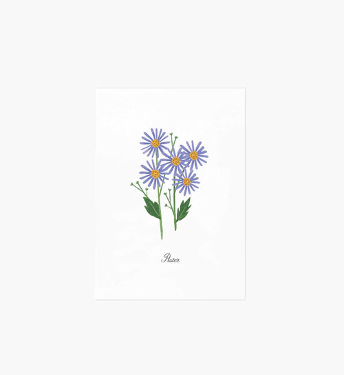 Birth Month Art Print - September