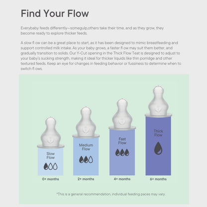 BIBS Slow Flow Baby Glass Bottle Complete Set - Blush