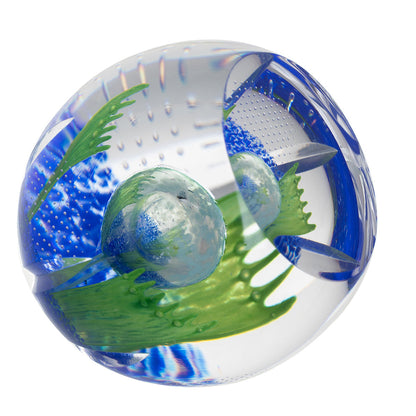 Caithness Azure Blossom- Hot House Collection 2025