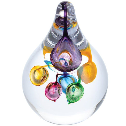Caithness - Party Balloons