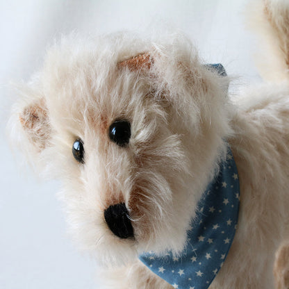 Canterbury Bears Snowy, white dog