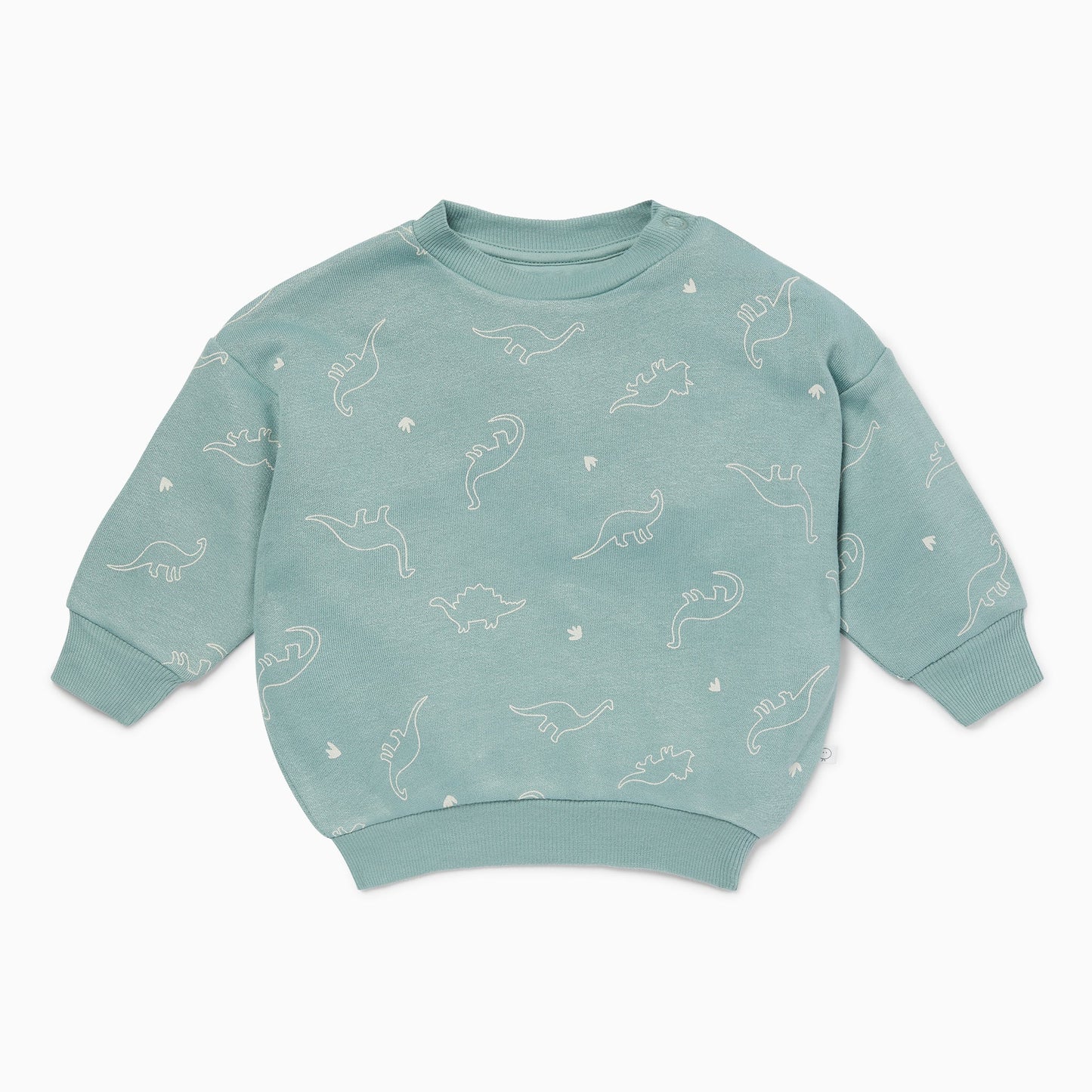 Dino Print Sweatshirt & Joggers Outfit