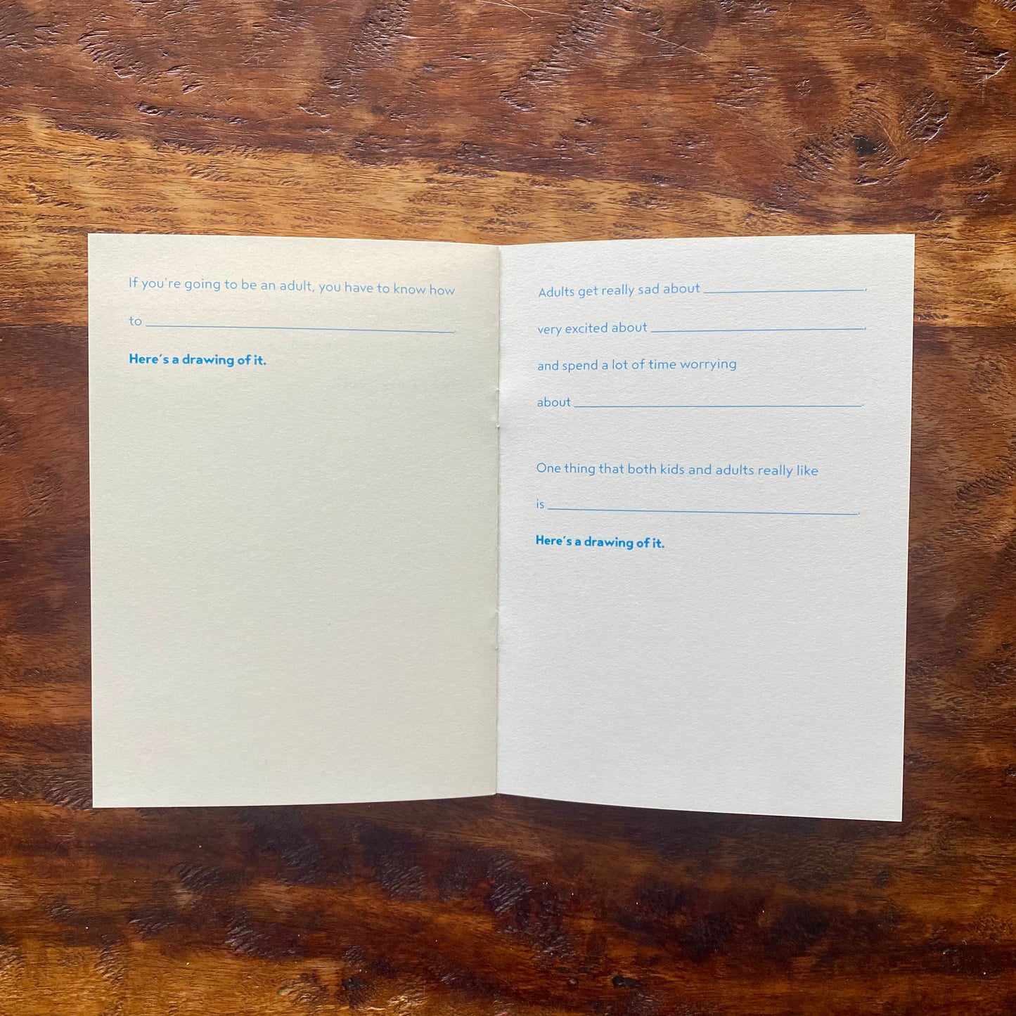 ADULTS ARE WEIRD -Journal with Writing & Drawing Prompts