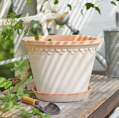 14 cm, Rose, Pot and Saucer