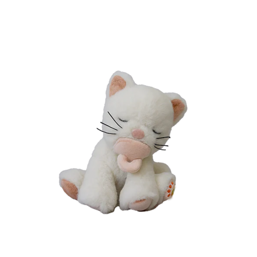 Binky Kitten Kiki
