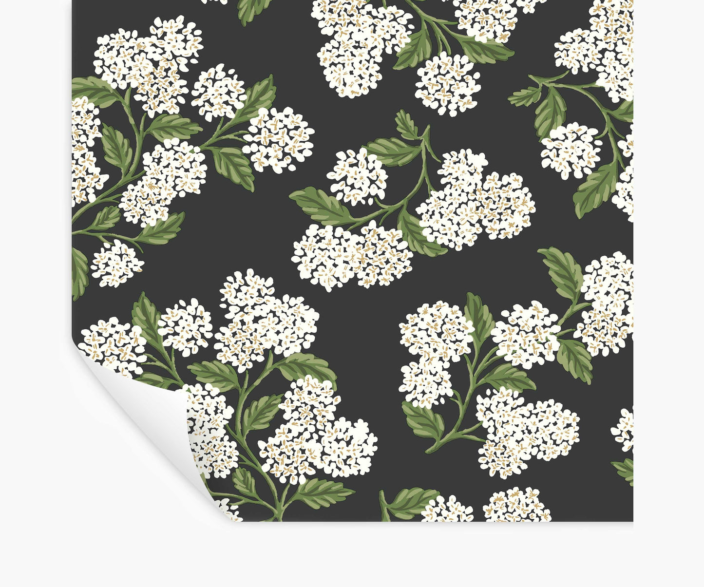 Hydrangea Peel & Stick Wallpaper - Black & White