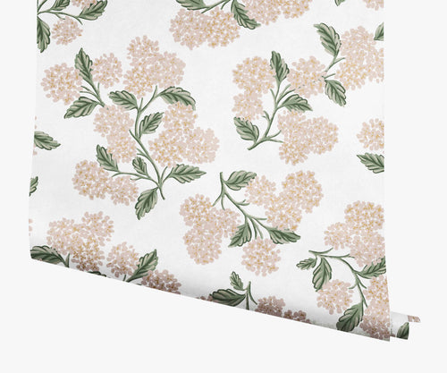 Hydrangea Wallpaper - White & Blush