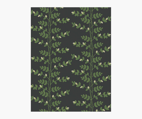 Climbing Vines Wallpaper Sample - Black
